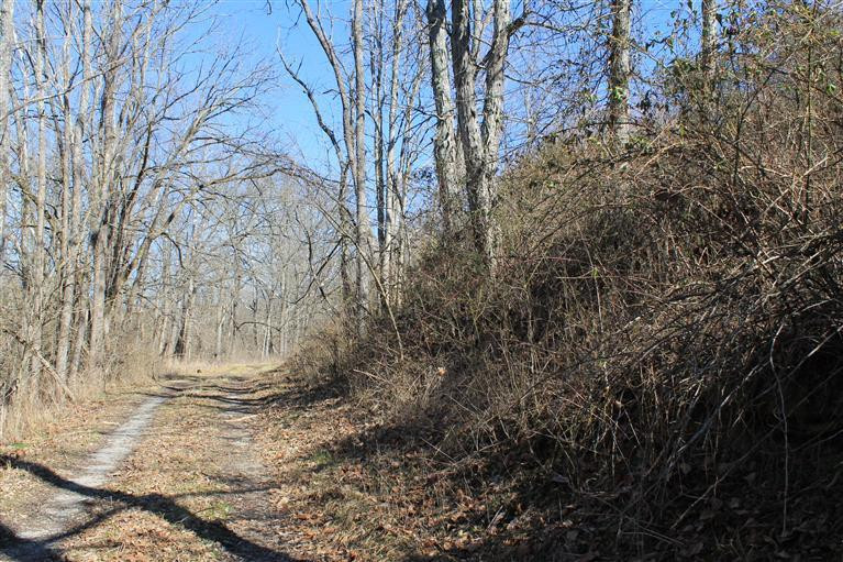 1 Nina Ridge Road Lancaster, KY 40444 - Photo 50 of 56 Photo 51