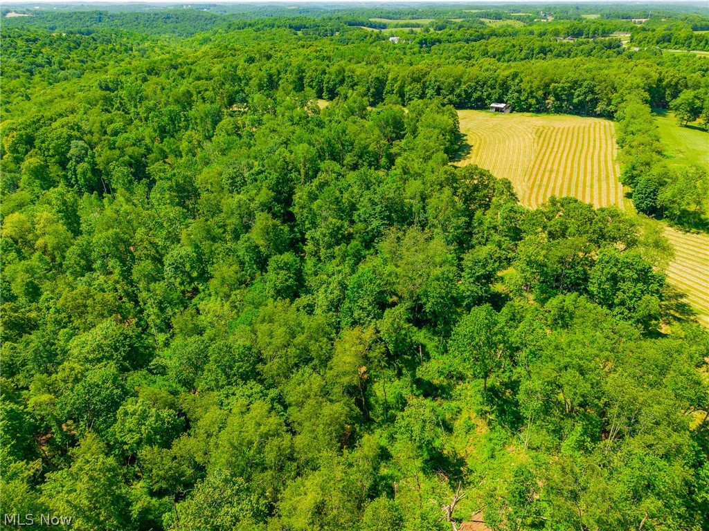 3188 Amsterdam Road Southwest Scio, OH 43988 - Photo 43 of 50