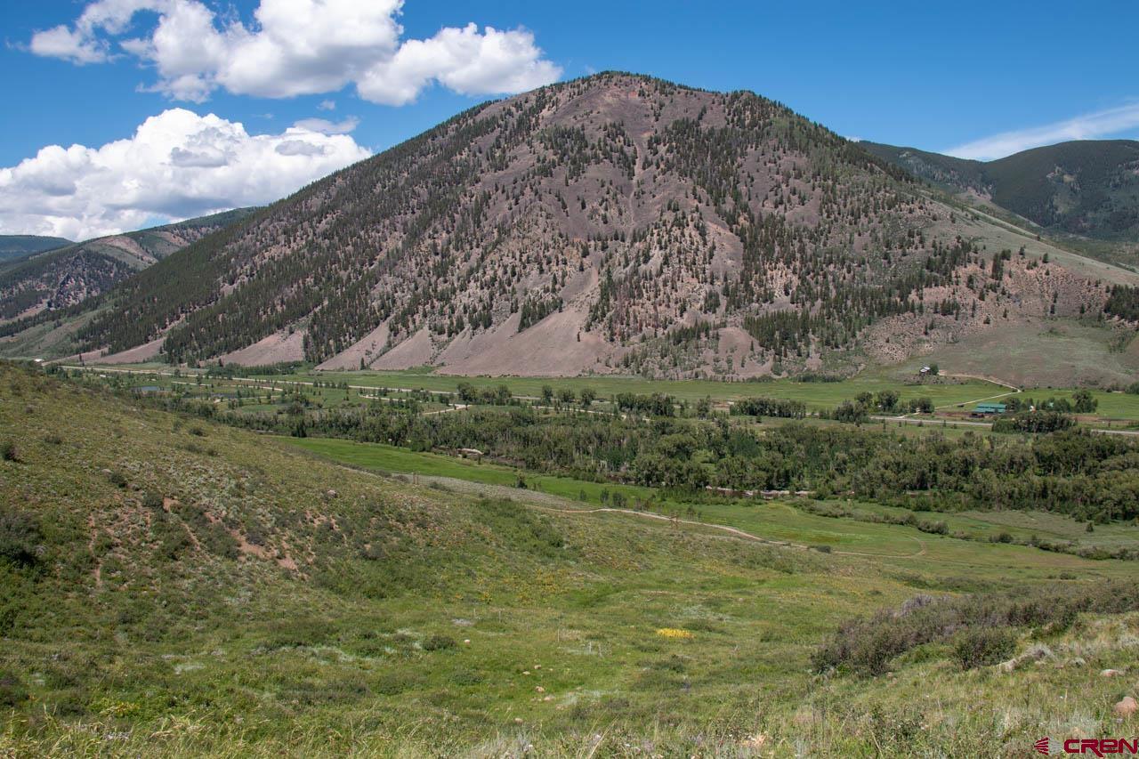 449 Red Mountain Road Almont, CO 81210 - Photo 29 of 35 Gallery Image 29