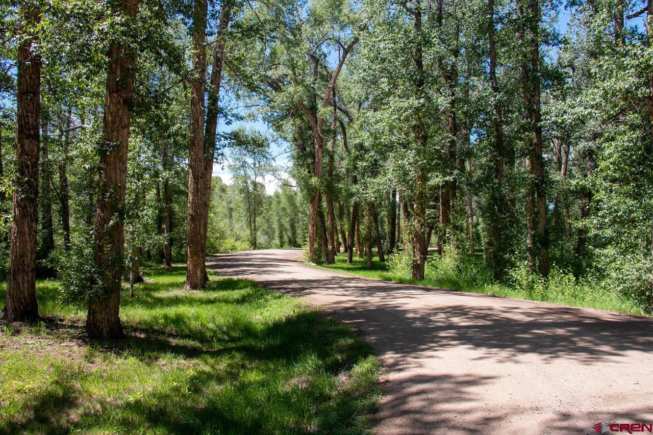449 Red Mountain Road Almont, CO 81210 - Photo 30 of 35 Gallery Image 30