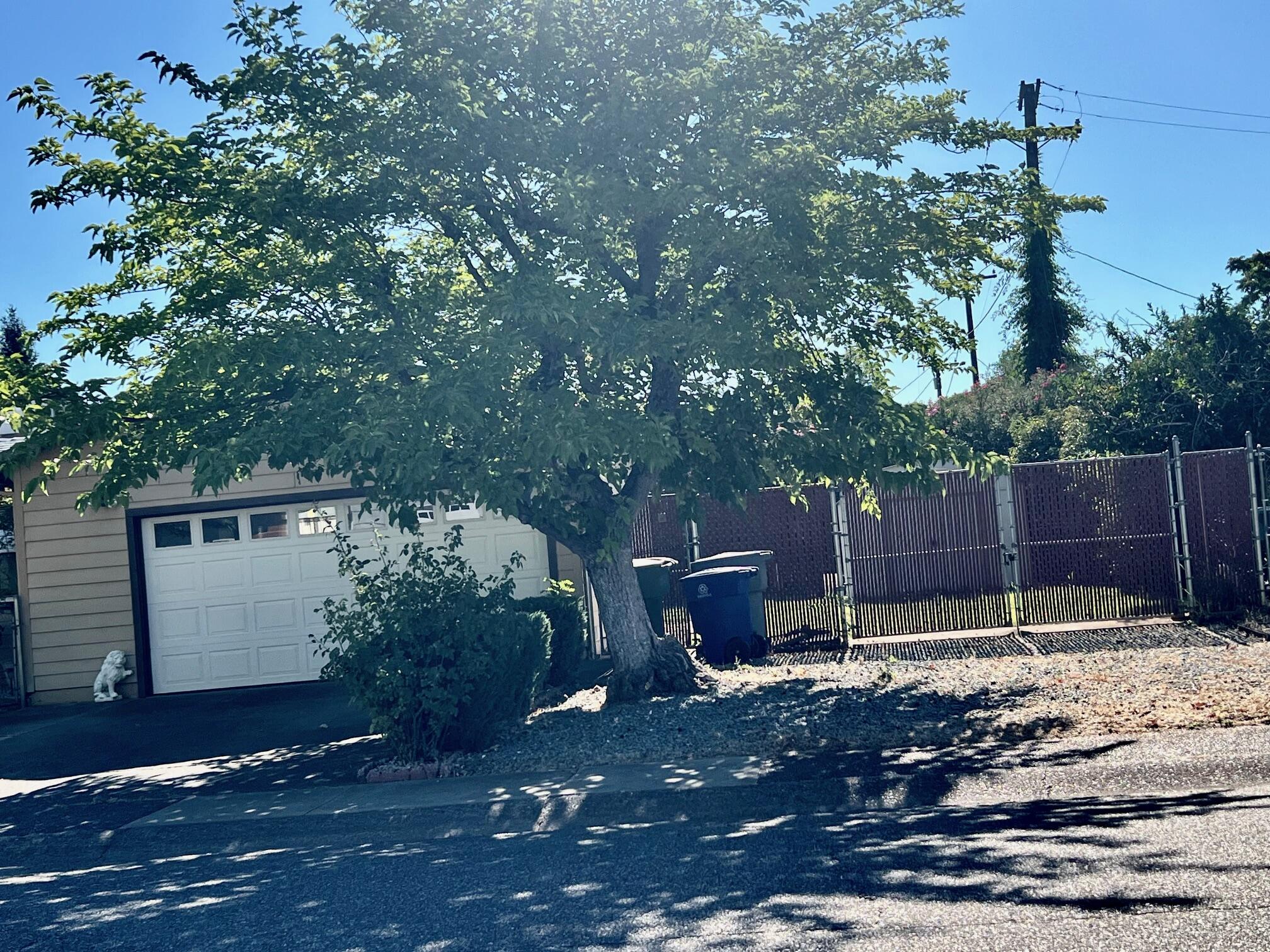 2041 Comet Street Redding, CA 96002 - Photo 12 of 16 a backyard of a house with lots of green space