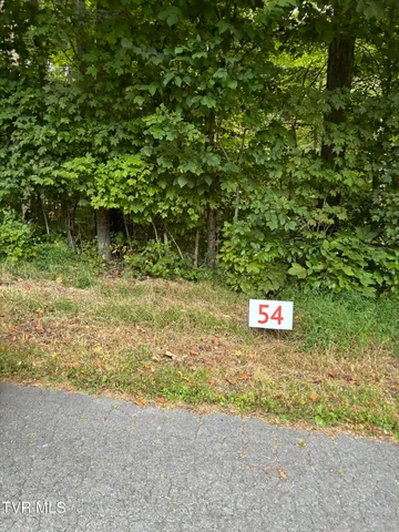 $39,900 | 54 Golf Course Road, Unit 54, Unicoi, TN 37692