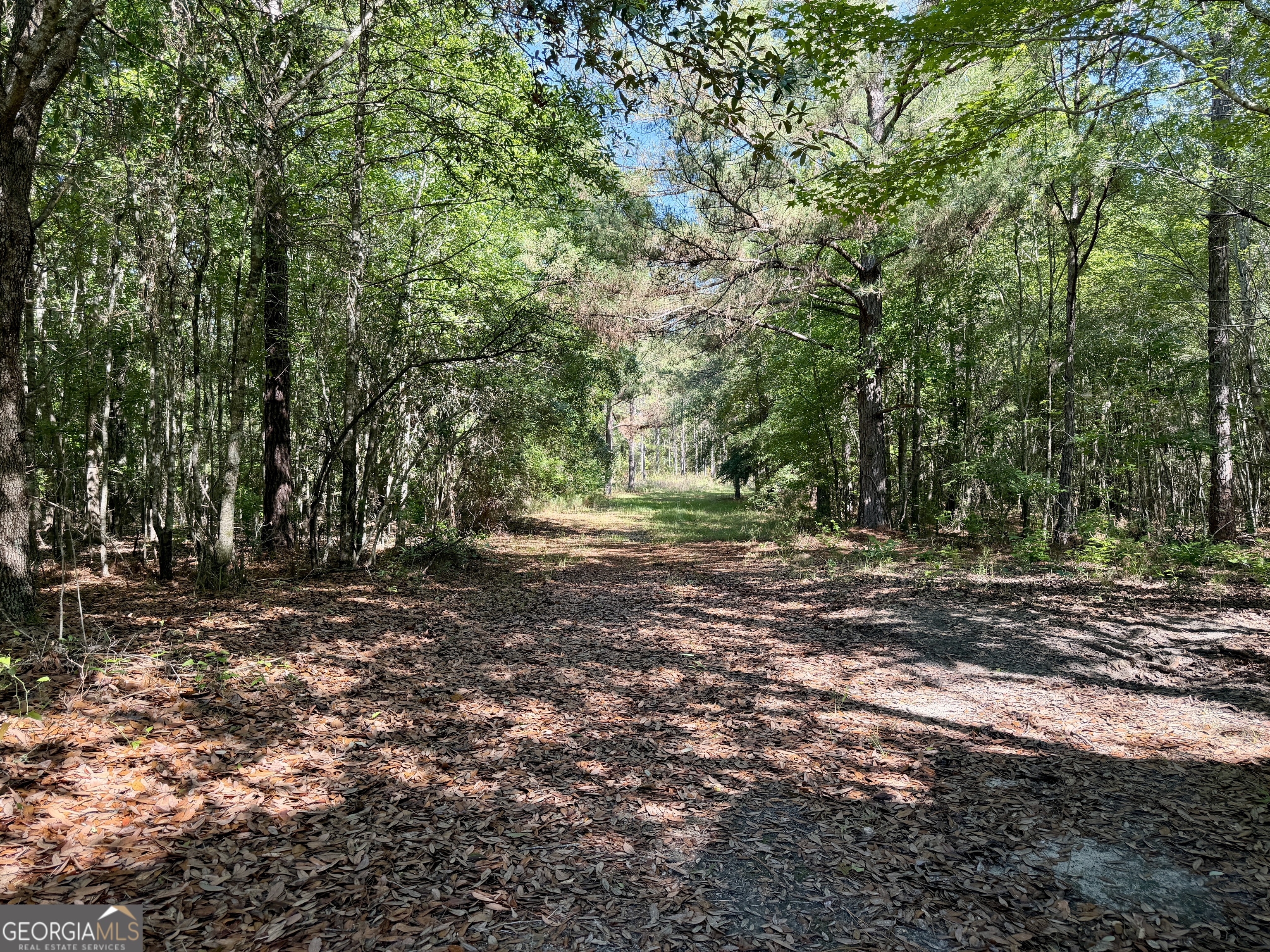 769 Mt Olive Church Road Eastman, GA 31023 - Photo 63 of 68