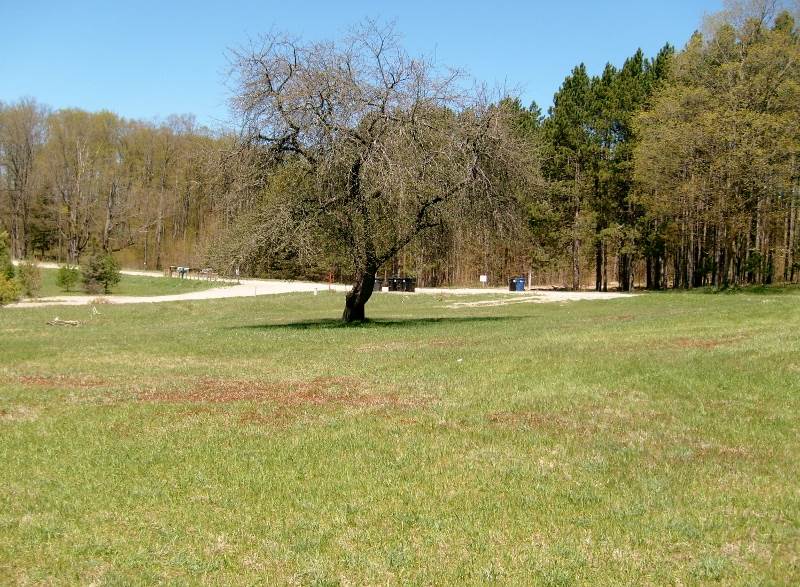 335 West Sharon Road Southeast Fife Lake, MI 49633 - Photo 16 of 99 1874973-15.JPG