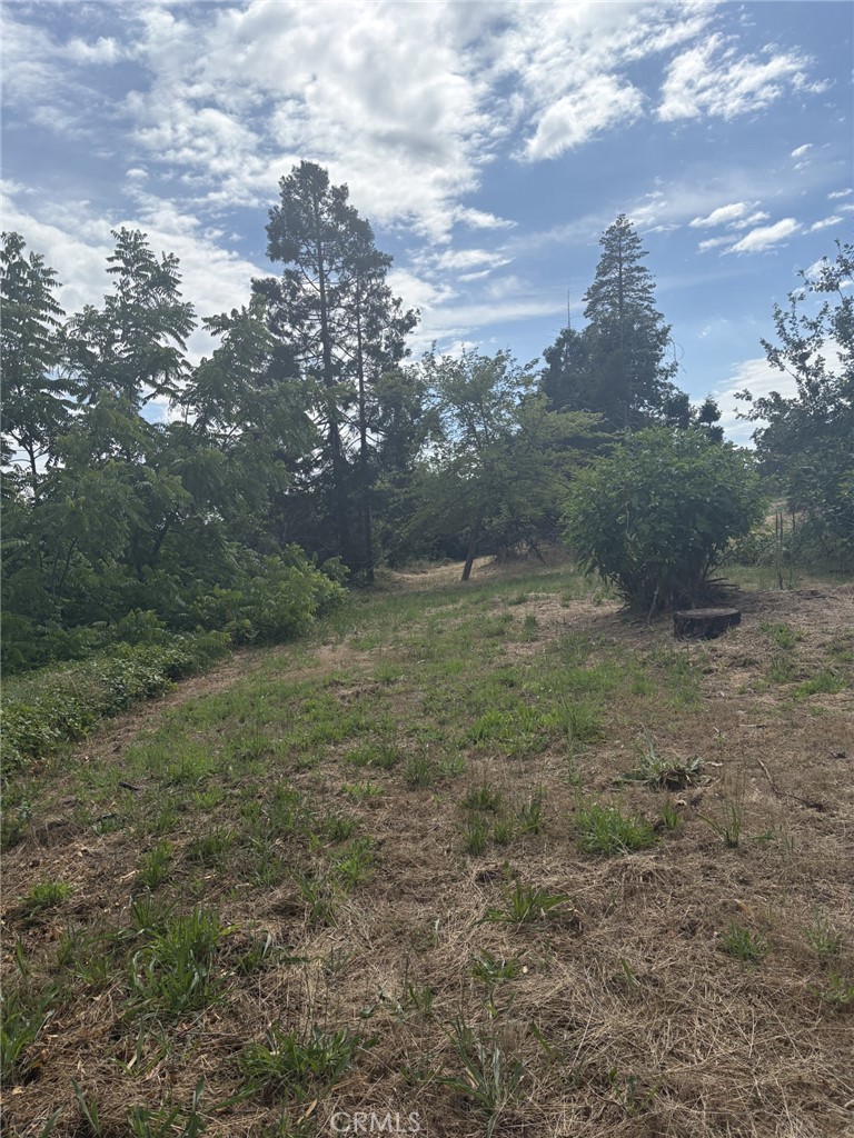 a view of outdoor space with trees all around