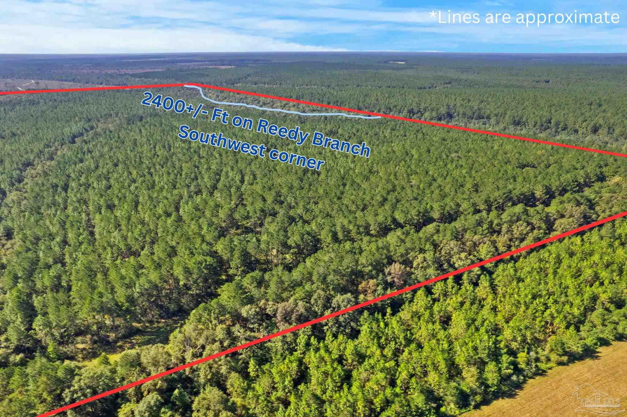 0 Nokomis Road Walnut Hill, FL 32568 - Photo 9 of 51