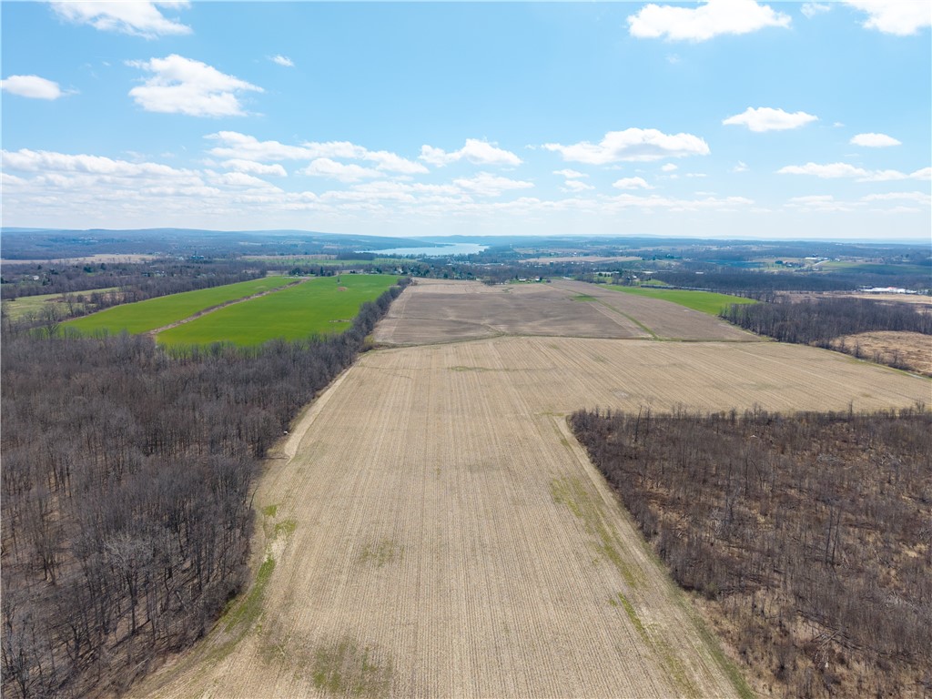 South Lima Rd Road Avon, NY 14414 - Photo 19 of 29