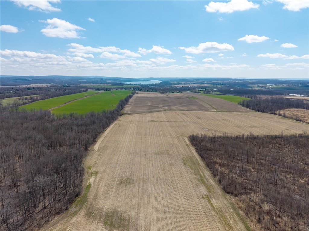 South Lima Rd Road Avon, NY 14414 - Photo 20 of 29