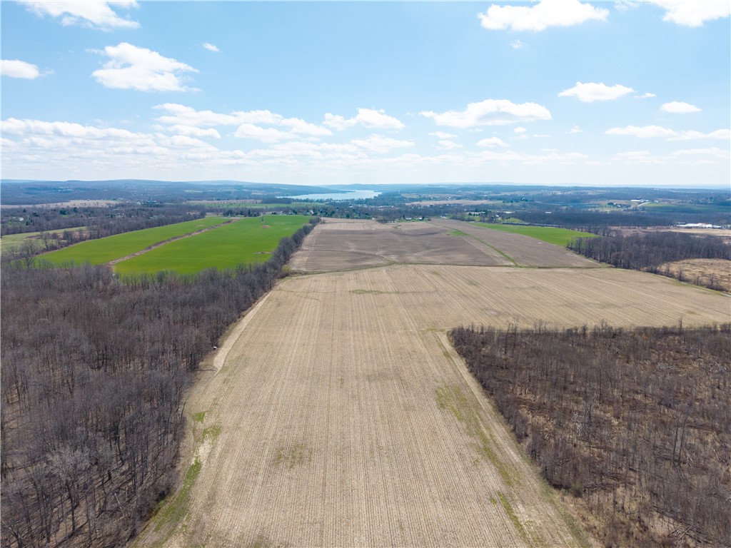 South Lima Rd Road Avon, NY 14414 - Photo 21 of 29