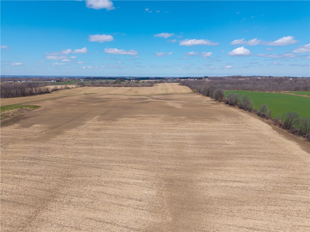 South Lima Rd Road Avon, NY 14414 - Photo 7 of 29