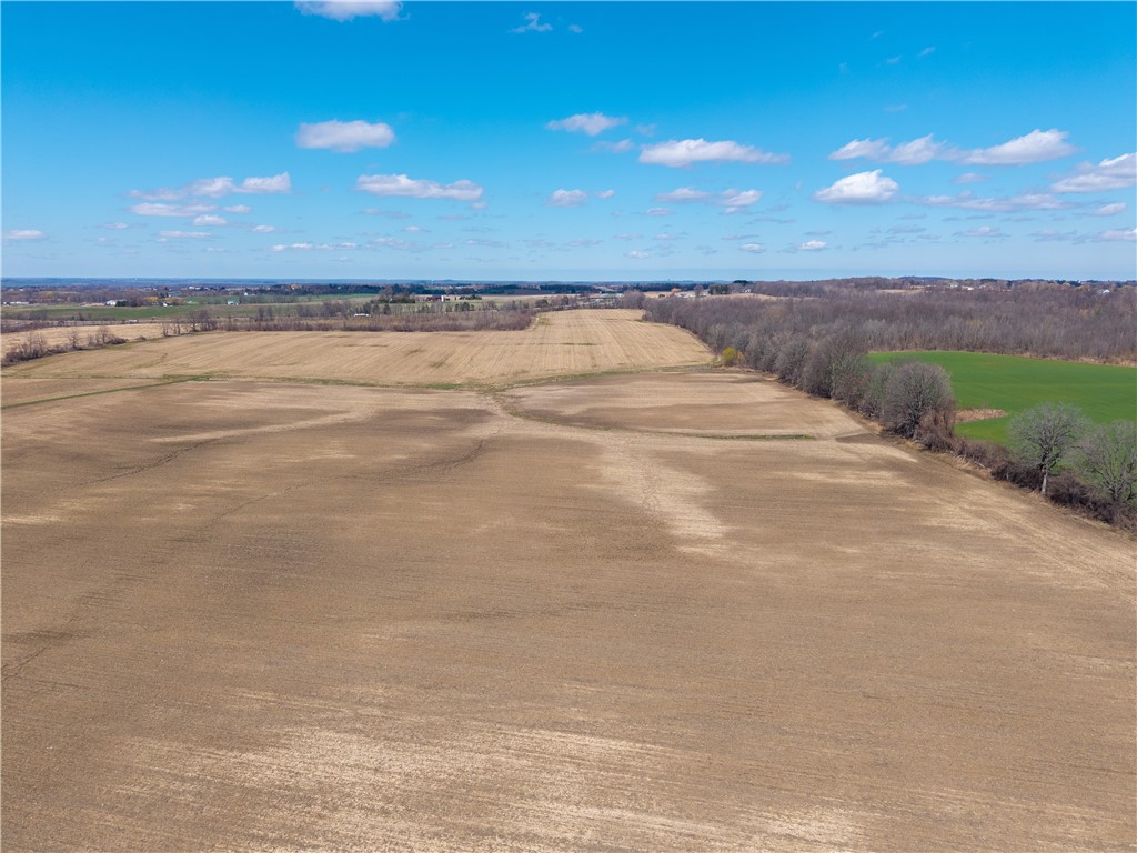 South Lima Rd Road Avon, NY 14414 - Photo 8 of 29