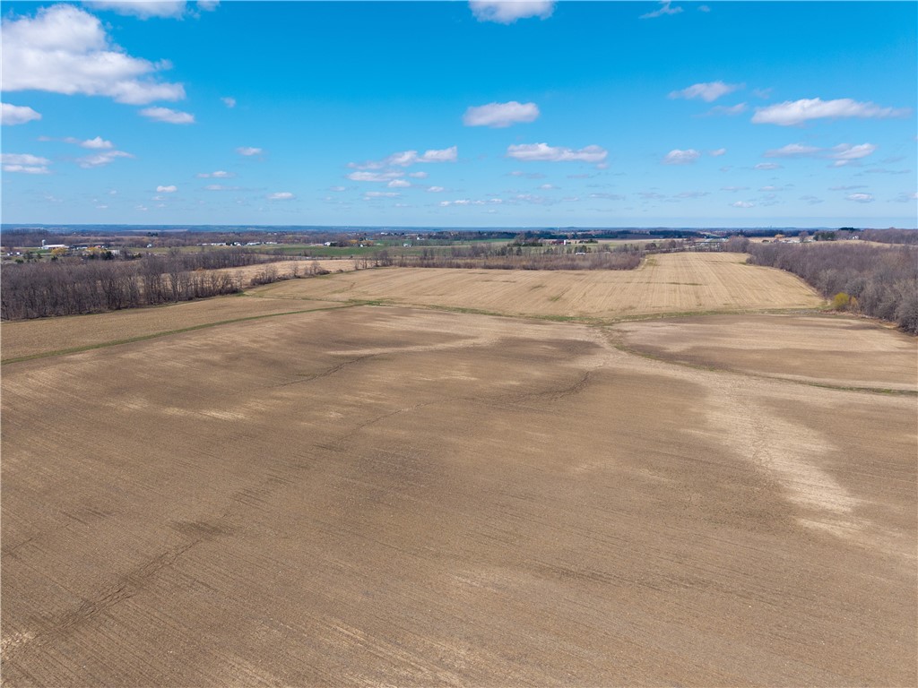 South Lima Rd Road Avon, NY 14414 - Photo 9 of 29