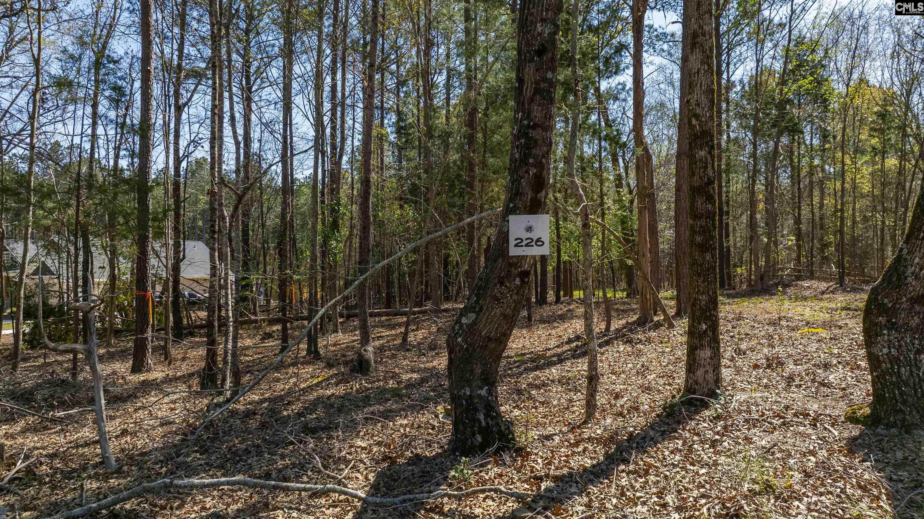 226 Granny Hill Road Prosperity, SC 29127 - Photo 28 of 42