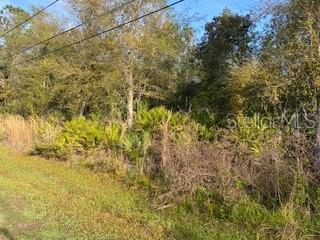 0 West Hagstrom Road Pierson, FL 32180 - Photo 1 of 1 Gallery Image 1