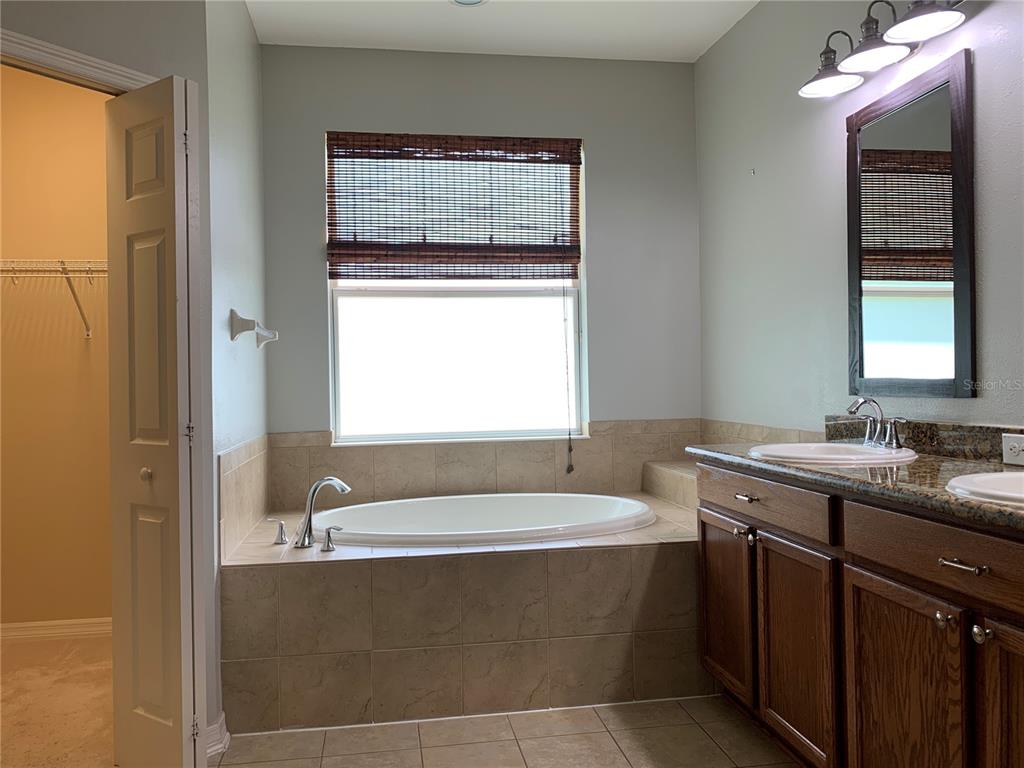 10308 Holland Road Riverview, FL 33578 - Photo 36 of 66 a bathroom with a tub sink and mirror