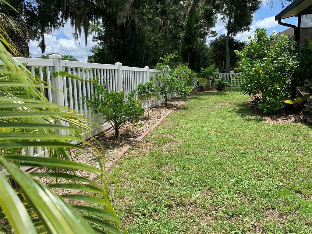 10308 Holland Road Riverview, FL 33578 - Photo 57 of 66 a view of street along with deck and outdoor seating