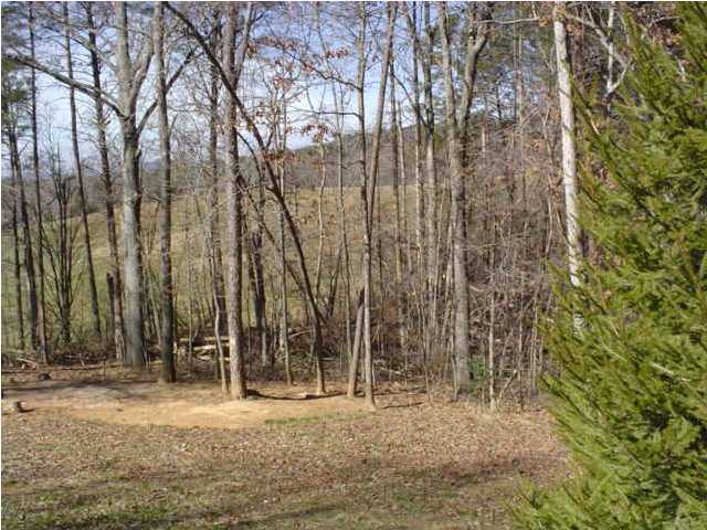 707 Pleasant Hill Road Copperhill, TN 37317 - Photo 9 of 9 Additional Photo