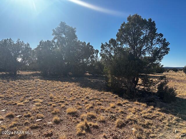 234- Brothers Road Seligman, AZ 86337 - Photo 4 of 16 a view of a backyard of the house