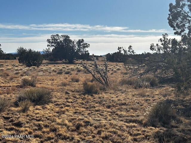 234- Brothers Road Seligman, AZ 86337 - Photo 7 of 16 a view of a lake with a mountain