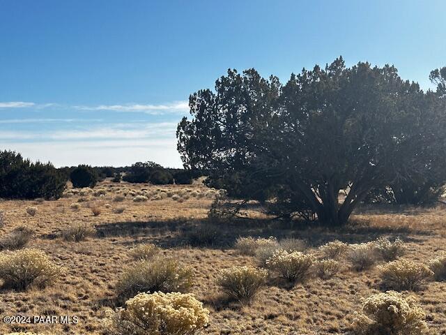 234- Brothers Road Seligman, AZ 86337 - Photo 9 of 16 a view of a yard with a snow