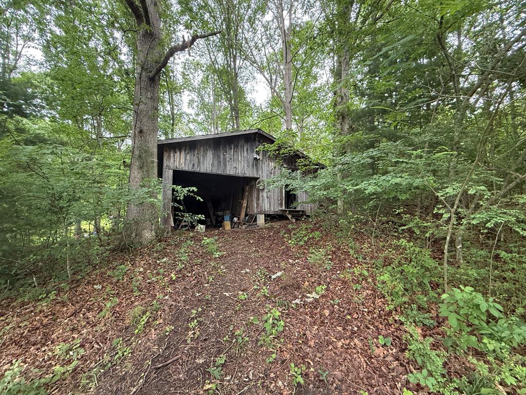 62 Jordan Road Blairsville, GA 30512 - Photo 21 of 21 Gallery Image 21