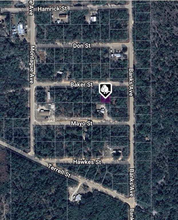 8 Baker Street Interlachen, FL 32148 - Photo 2 of 4 a bathroom with a shower