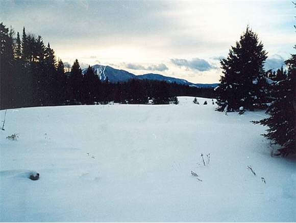 Lot#2 Sugarhouse Road Burke, VT 05871 - Photo 1 of 1 Gallery Image 1