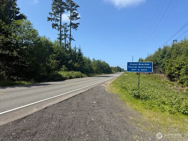 a view of a green field with lots of bushes