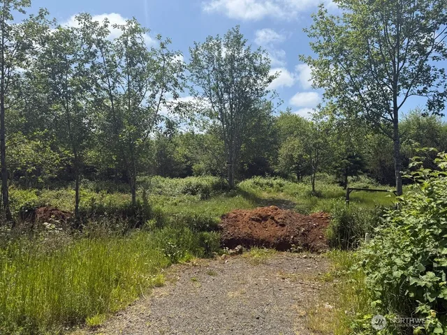 a view of a lake view with a tree