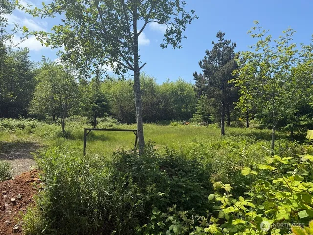 an aerial view of forest