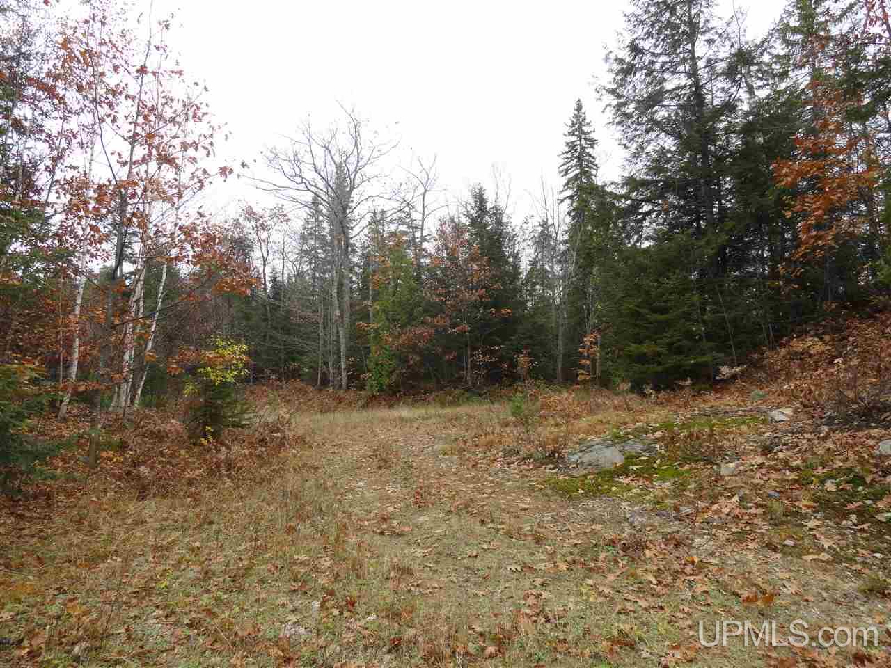 510 Rd Marquette Mi 49855 Road Negaunee, MI 49866 - Photo 12 of 26