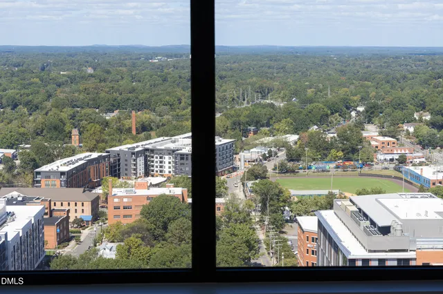 a view of a pathway both side of yard