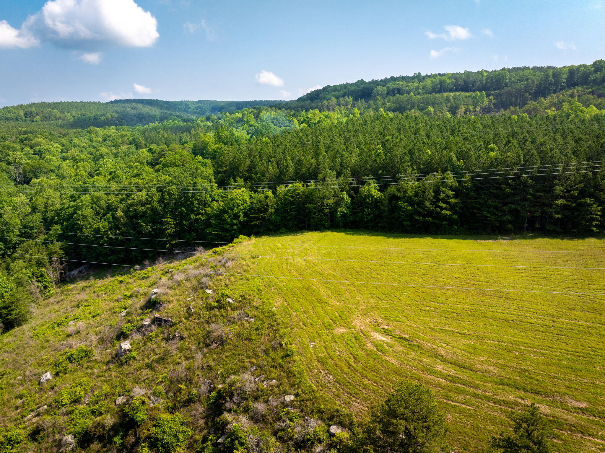 0 Split Rail Way, Unit LOT 1193 Guild, TN 37340 - Photo 15 of 30 15-web-or-mls-DJI_20250604075425_0931_D-