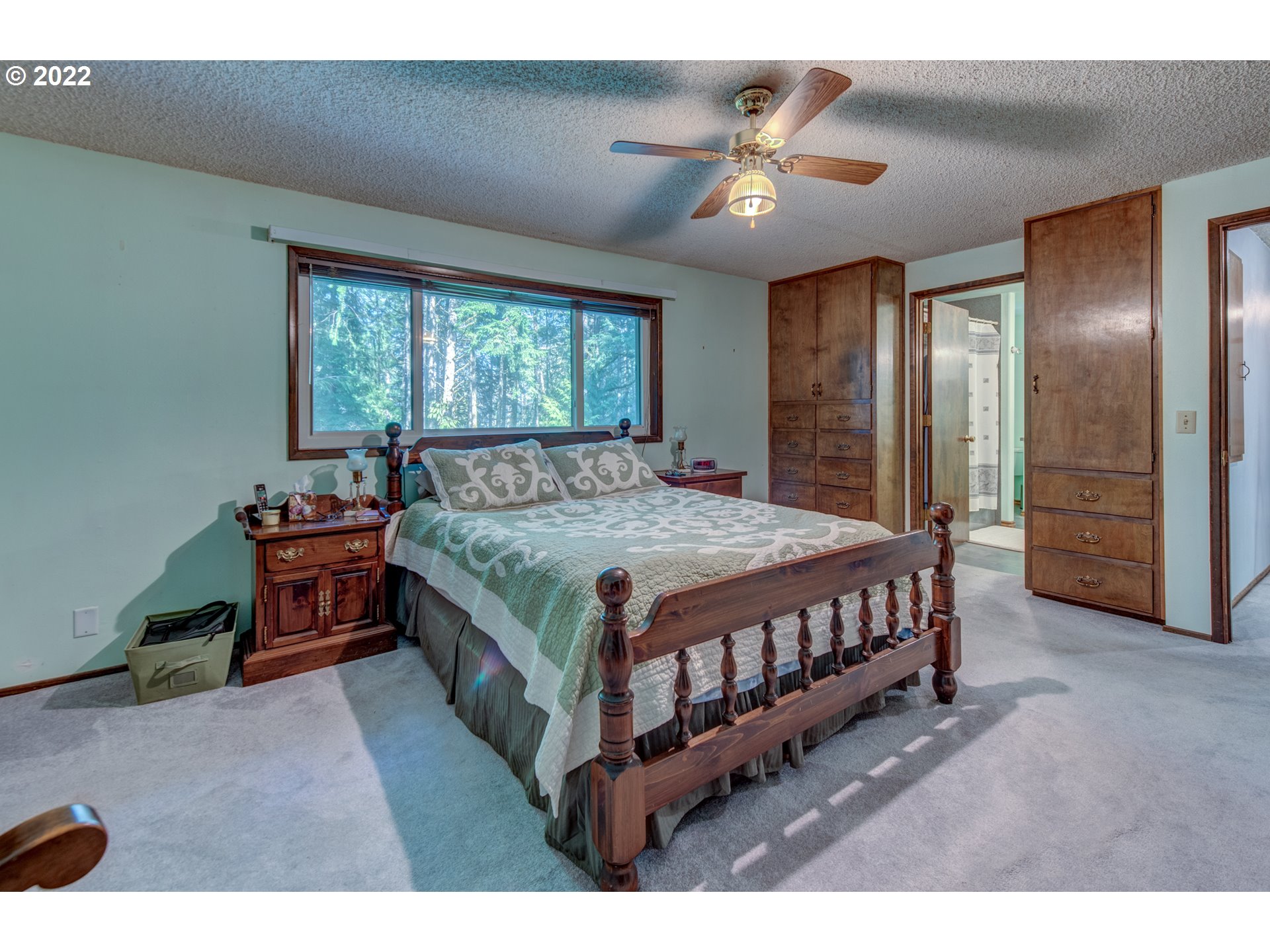 87125 Cedar Flat Road Springfield, OR 97478 - Photo 12 of 32 a spacious bedroom with a bed a chandelier and a large mirror on the dresser