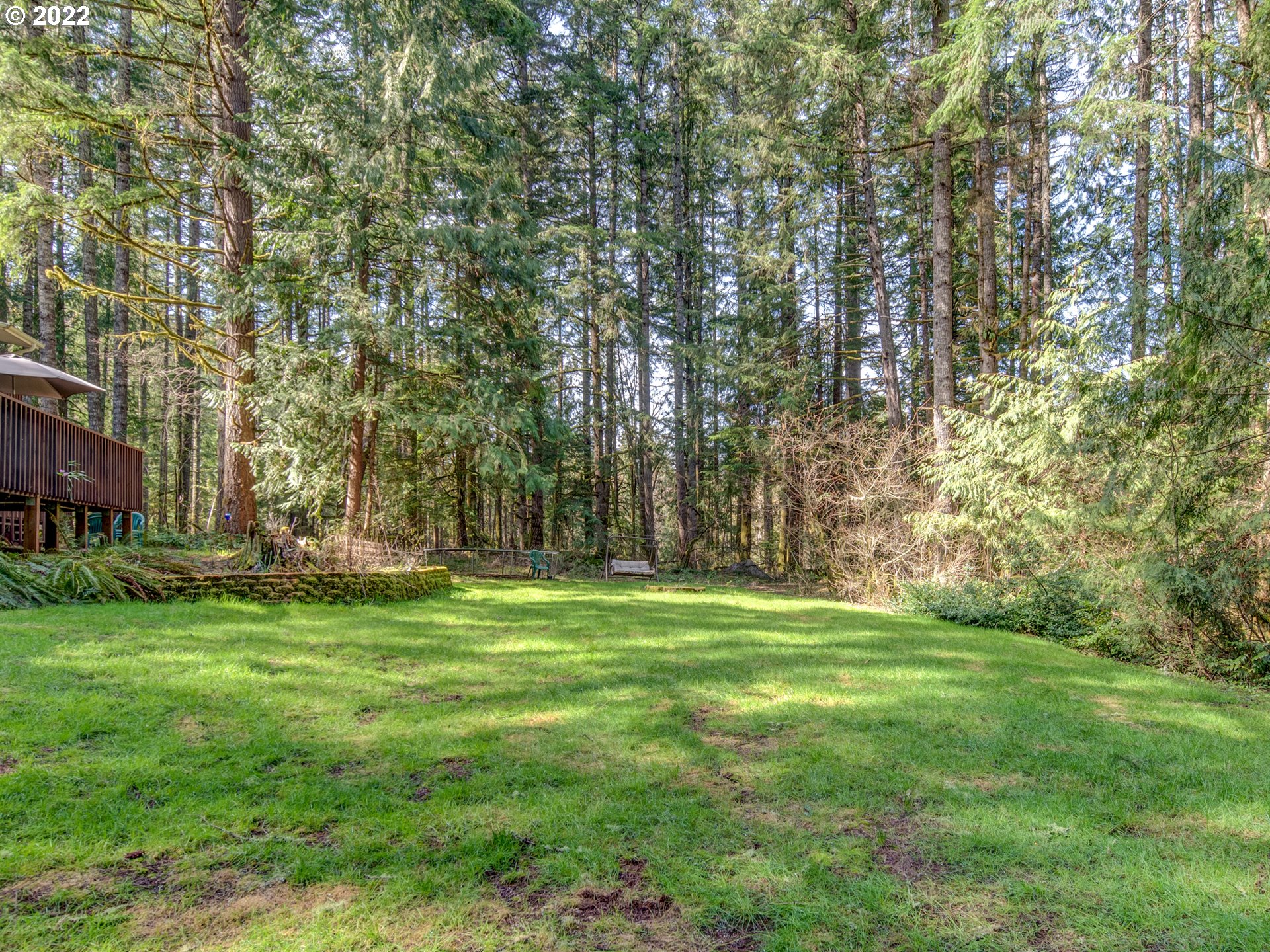 87125 Cedar Flat Road Springfield, OR 97478 - Photo 22 of 32 a grassy field with some trees in the background