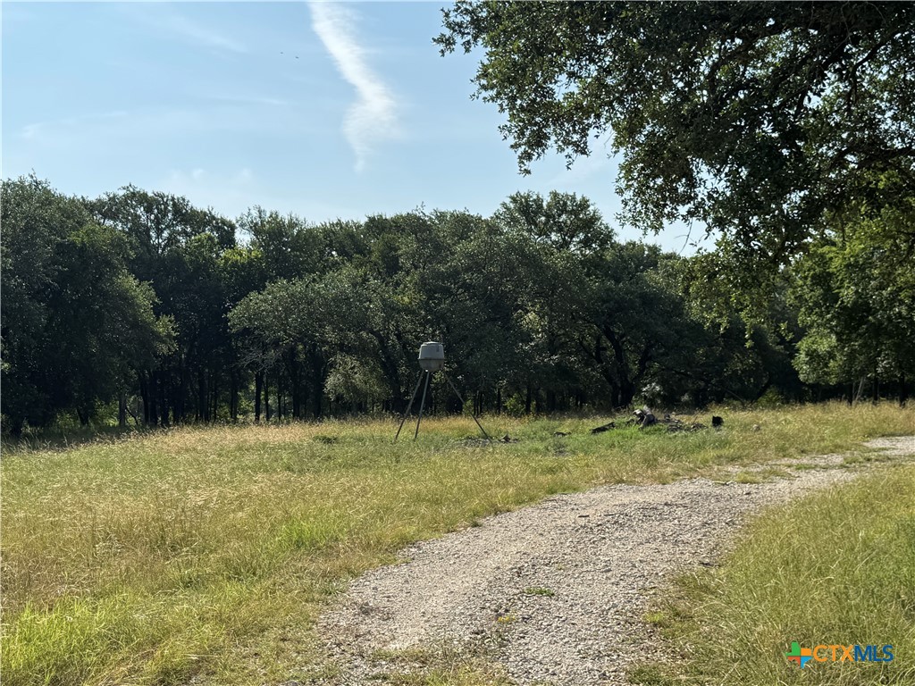 6031 Buggy Ride Road Temple, TX 76502 - Photo 6 of 13