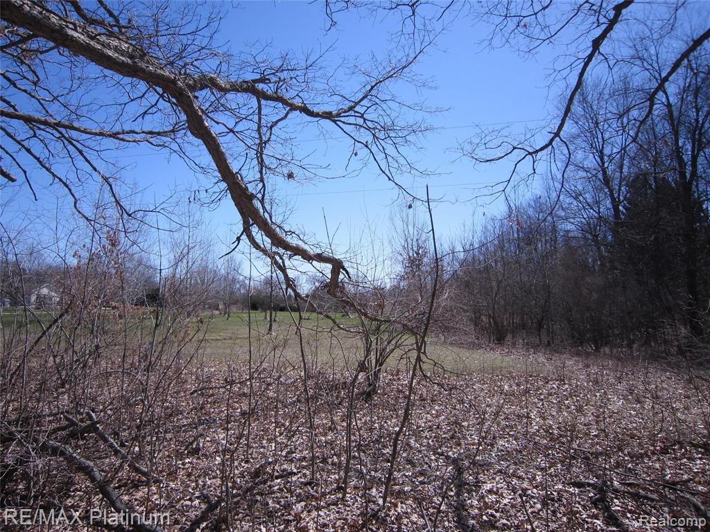 Parcel E West Lange Road Fowlerville, MI 48836 - Photo 5 of 9