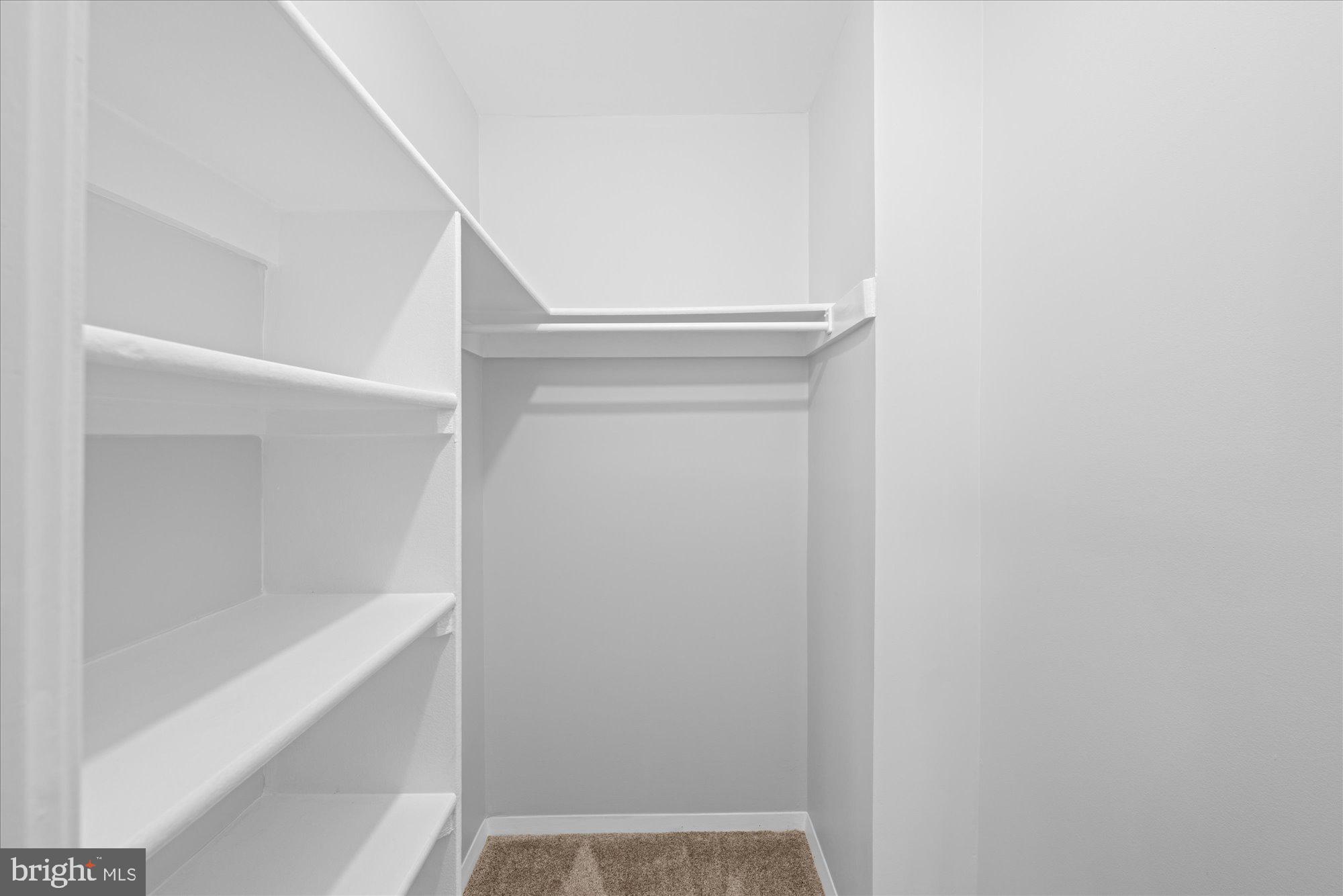 3720 Ferrara Drive, Unit 5 Silver Spring, MD 20906 - Photo 3 of 18 Great closet