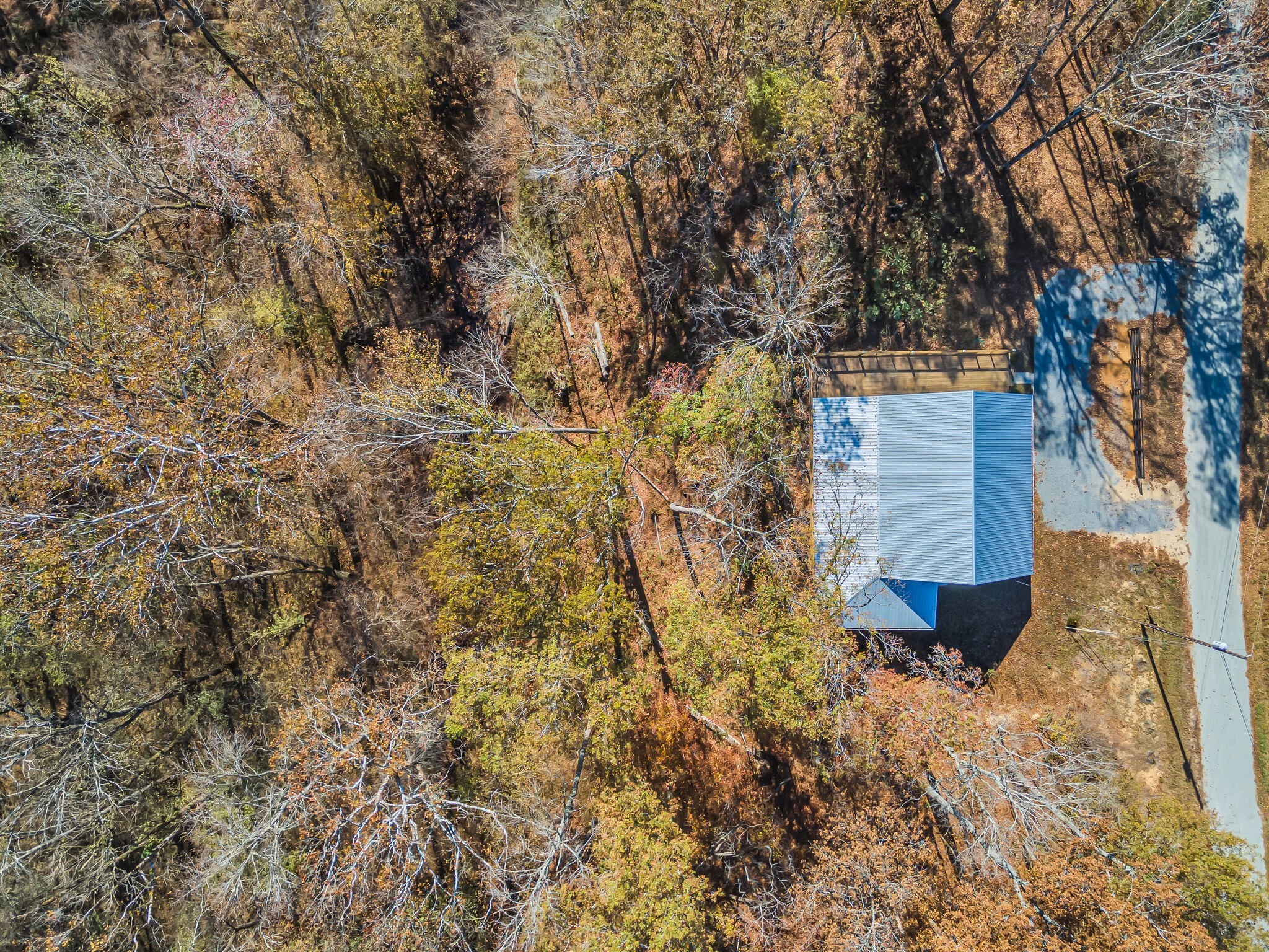 761 Metal Ford Road Hohenwald, TN 38462 - Photo 5 of 60 a picture of a tree