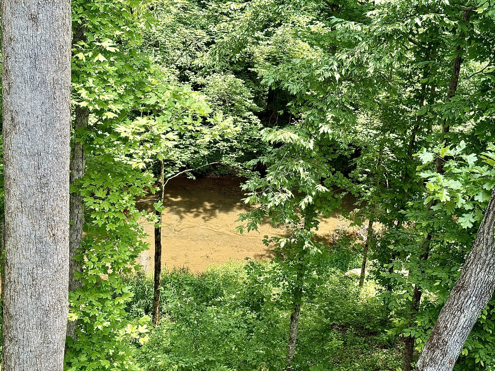 761 Metal Ford Road Hohenwald, TN 38462 - Photo 55 of 60 a backyard of a house with lots of green space