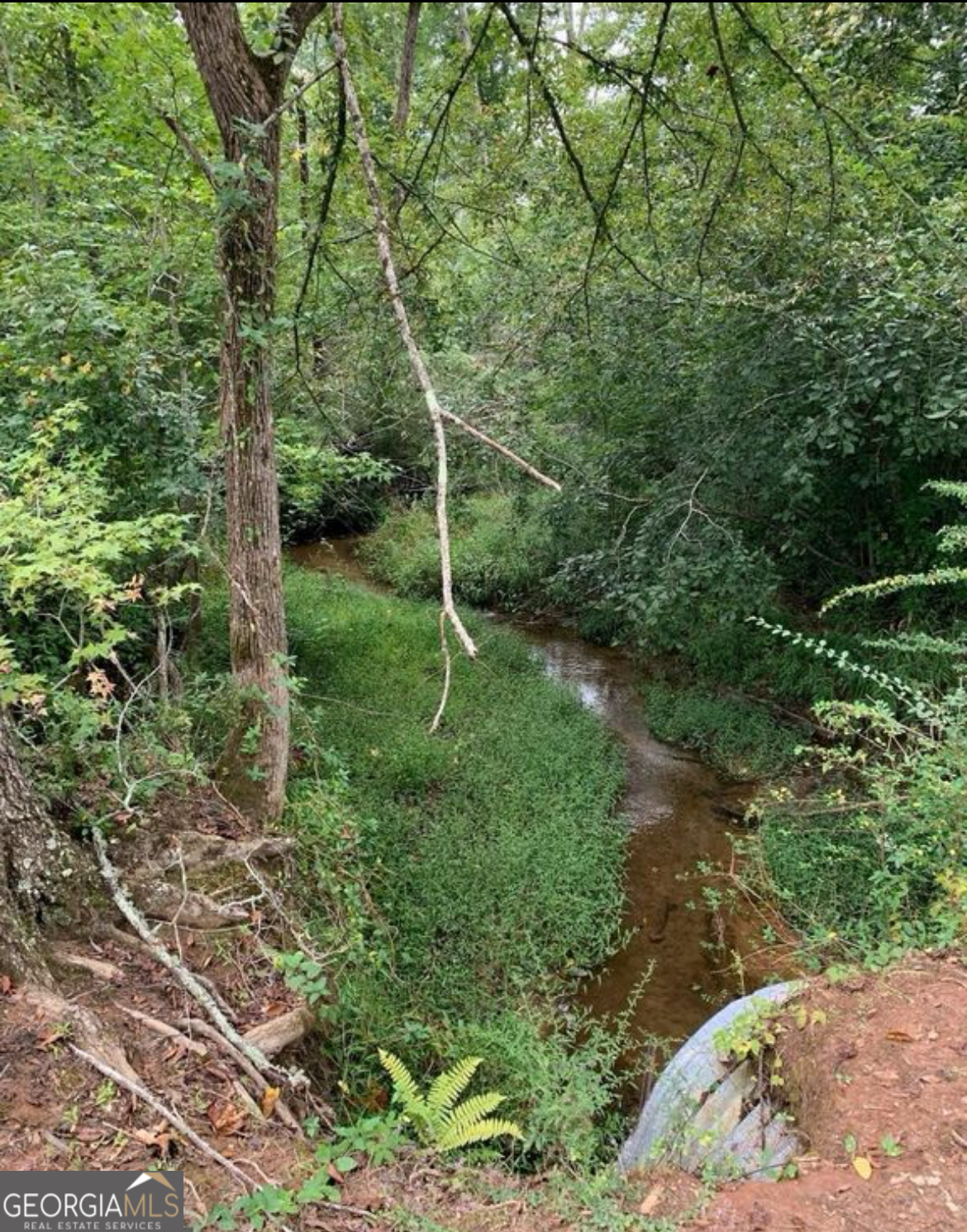 600 Hillview Road, Unit TRACT 1 Hampton, GA 30228 - Photo 3 of 4