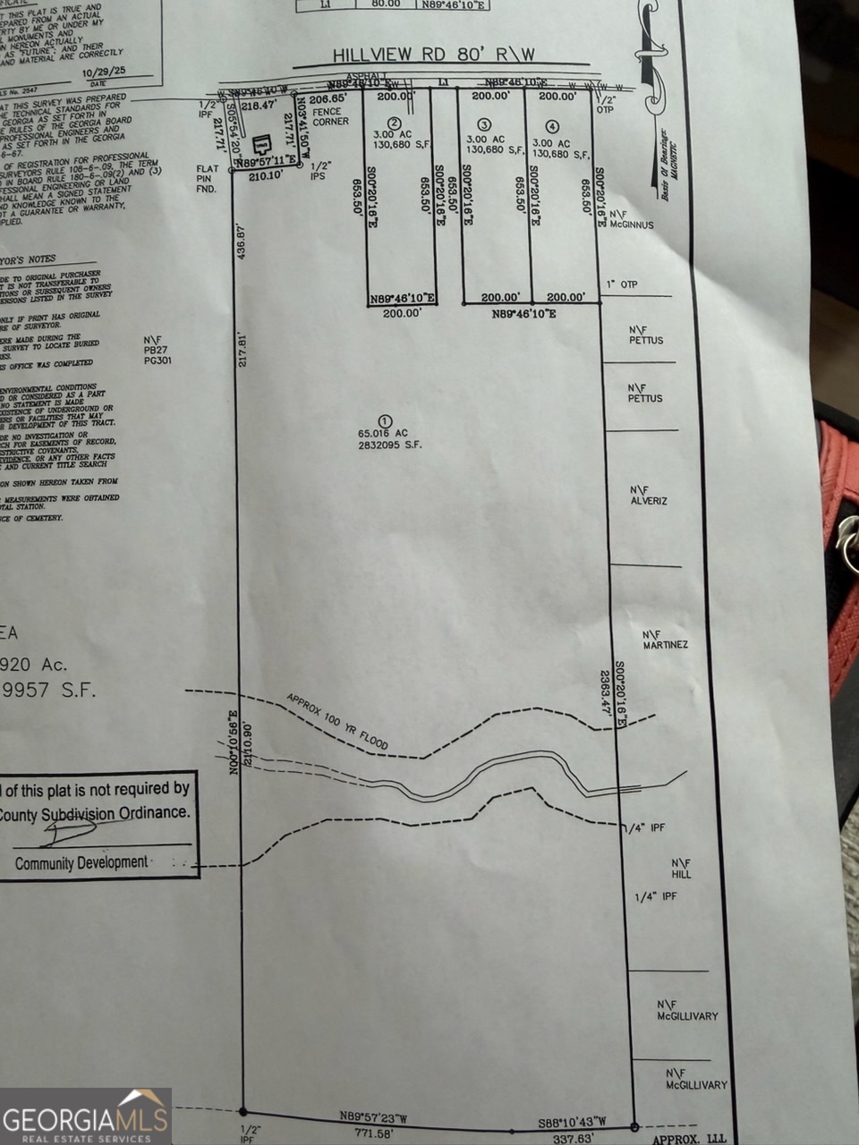 600 Hillview Road, Unit TRACT 1 Hampton, GA 30228 - Photo 4 of 4