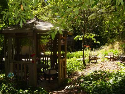 8446 Nazielle Road Forestville, CA 95436 - Photo 2 of 11 a view of outdoor seating