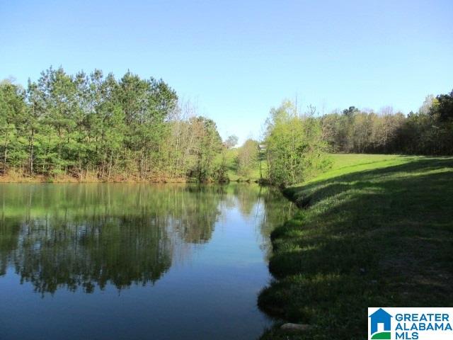 6971 Highway 24 Oneonta, AL 35121 - Photo 22 of 45