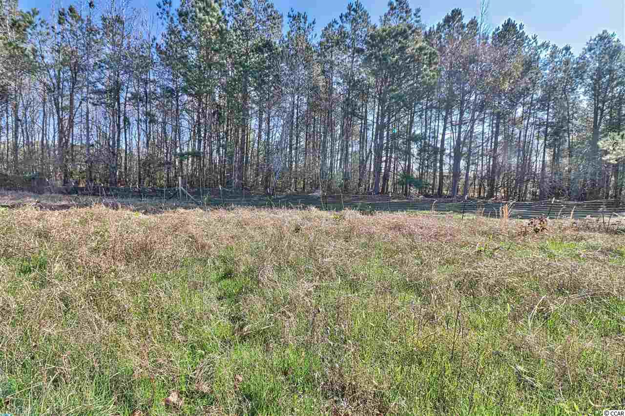5403 Hendricks Short-Cut Road Conway, SC 29527 - Photo 31 of 31 Gallery Image 31
