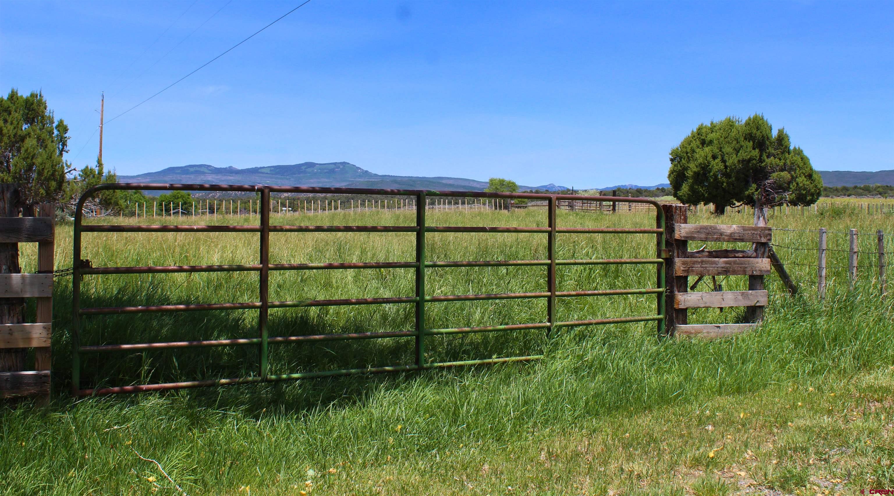 15574 2900th Road Hotchkiss, CO 81419 - Photo 34 of 45