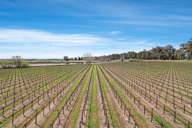 a view of a city and ocean view