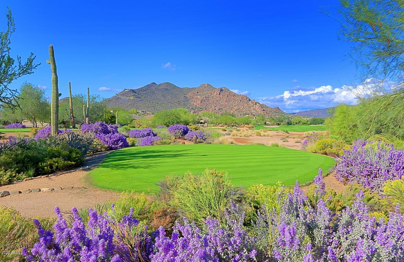 6803 East Eagle Feather Road Scottsdale, AZ 85266 - Photo 64 of 67 a view of a garden with a house in the background