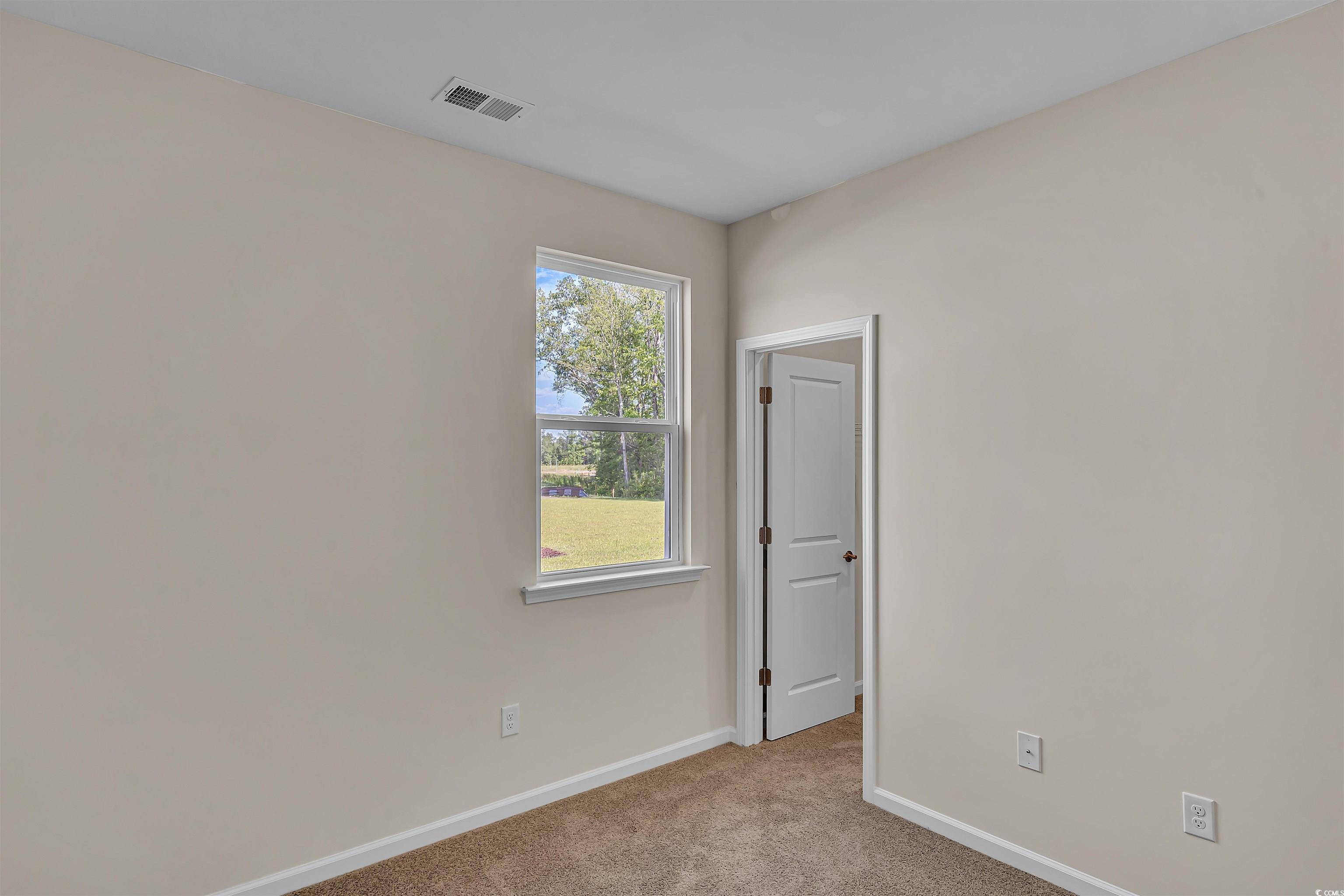 120 Little Cedar Drive Loris, SC 29569 - Photo 13 of 29