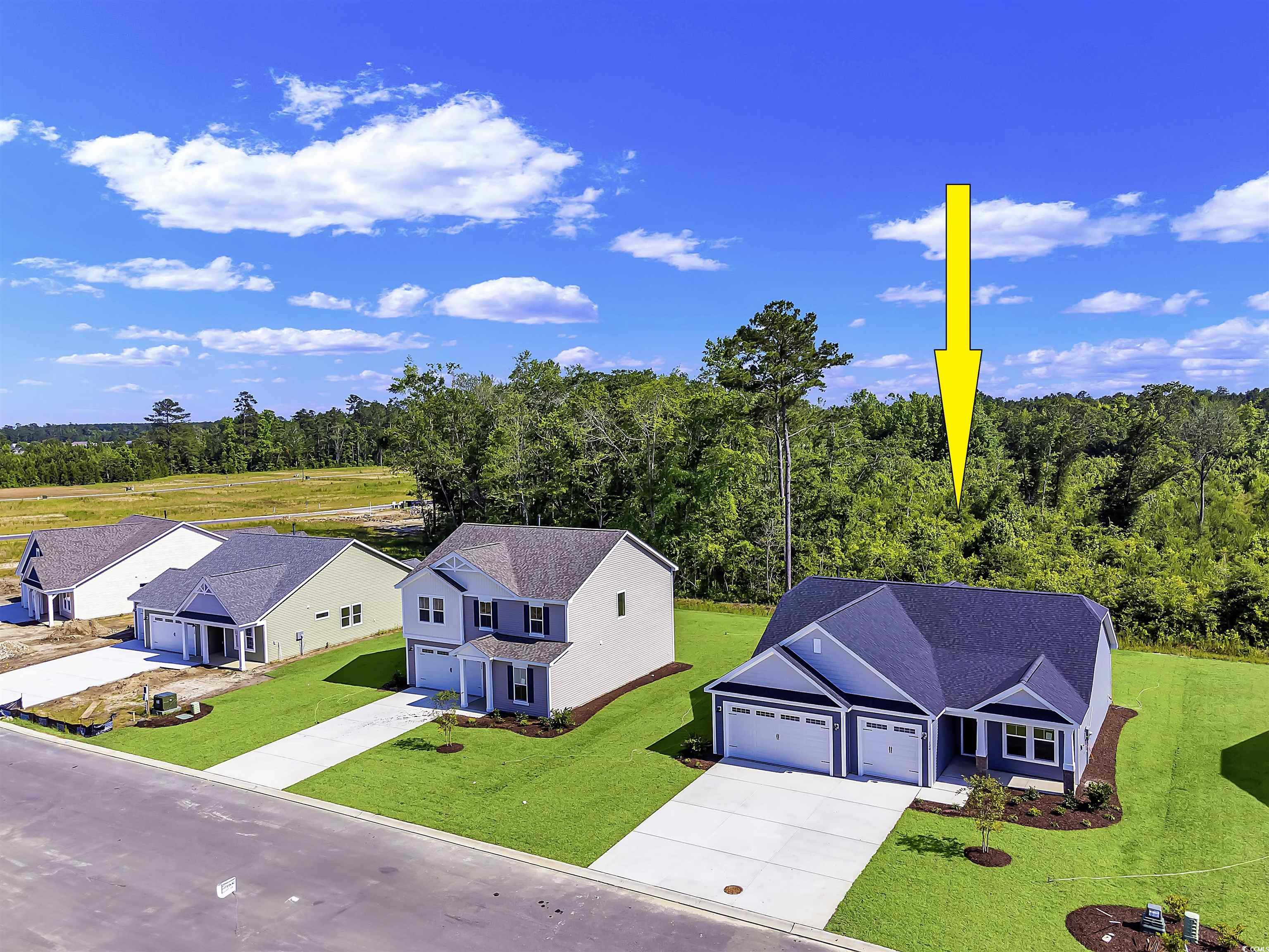120 Little Cedar Drive Loris, SC 29569 - Photo 28 of 29
